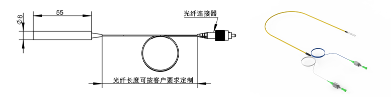 FSS101光學(xué)電場探頭（單軸）