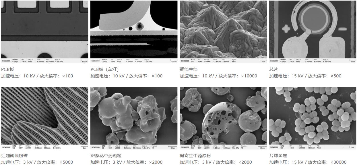 國(guó)儀量子 SEM2000鎢燈絲掃描電子顯微鏡