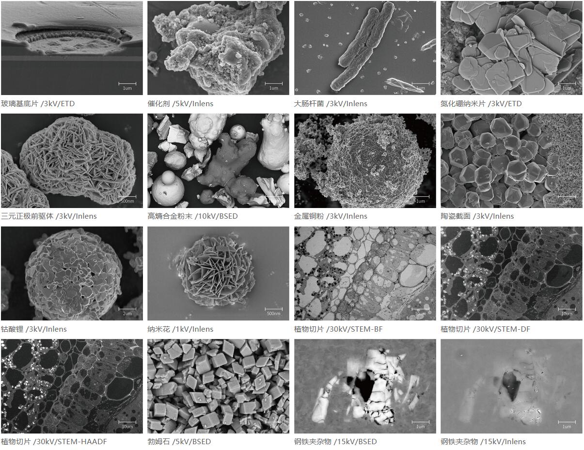 國儀量子 SEM5000場發(fā)射掃描電子顯微鏡